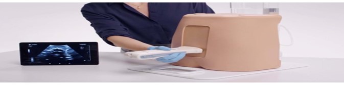 LumberUltrasound.jpg LumberUltrasound.jpg