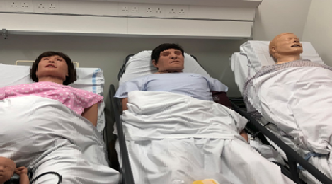 Simman Classic Simulation Family